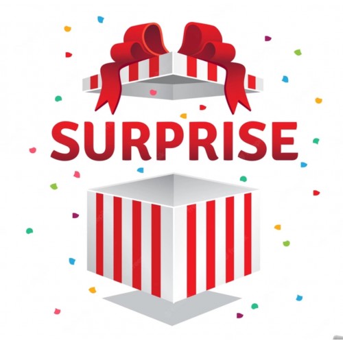 CИДР SURPRISE 0,5КГ ALE POINT BREWERY